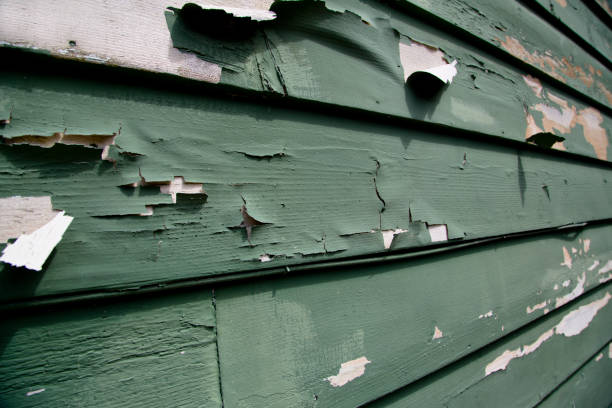 Affordable siding repair and maintenance services in Jefferson, GA